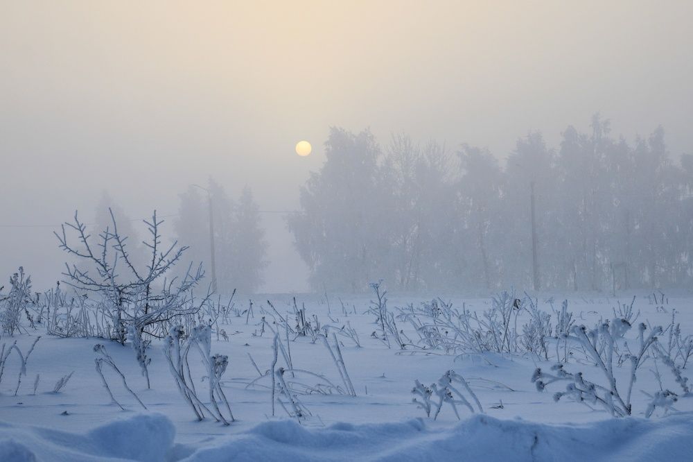 Photograph by Инна Карасева