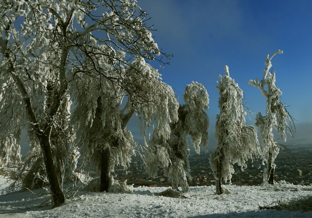 Photograph by Игорь Куленко
