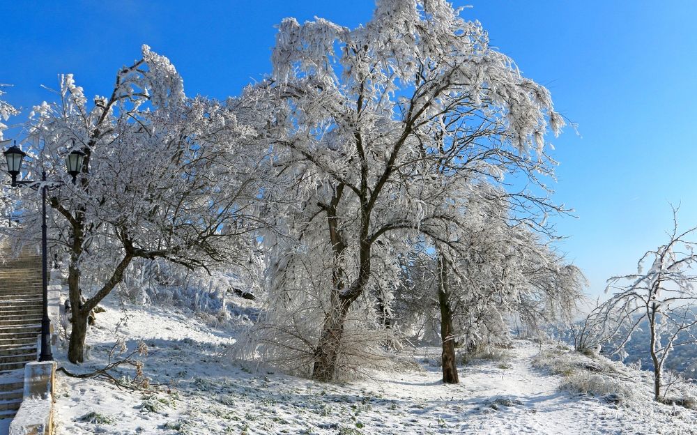 Photograph by Игорь Куленко