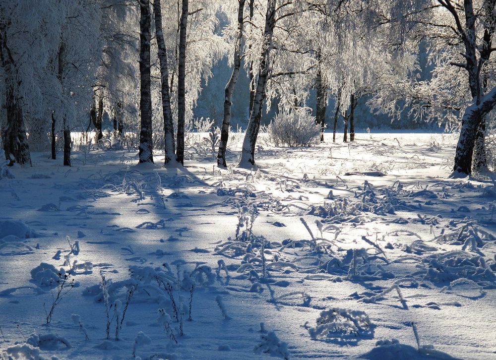 Photograph by Виктор Волынский