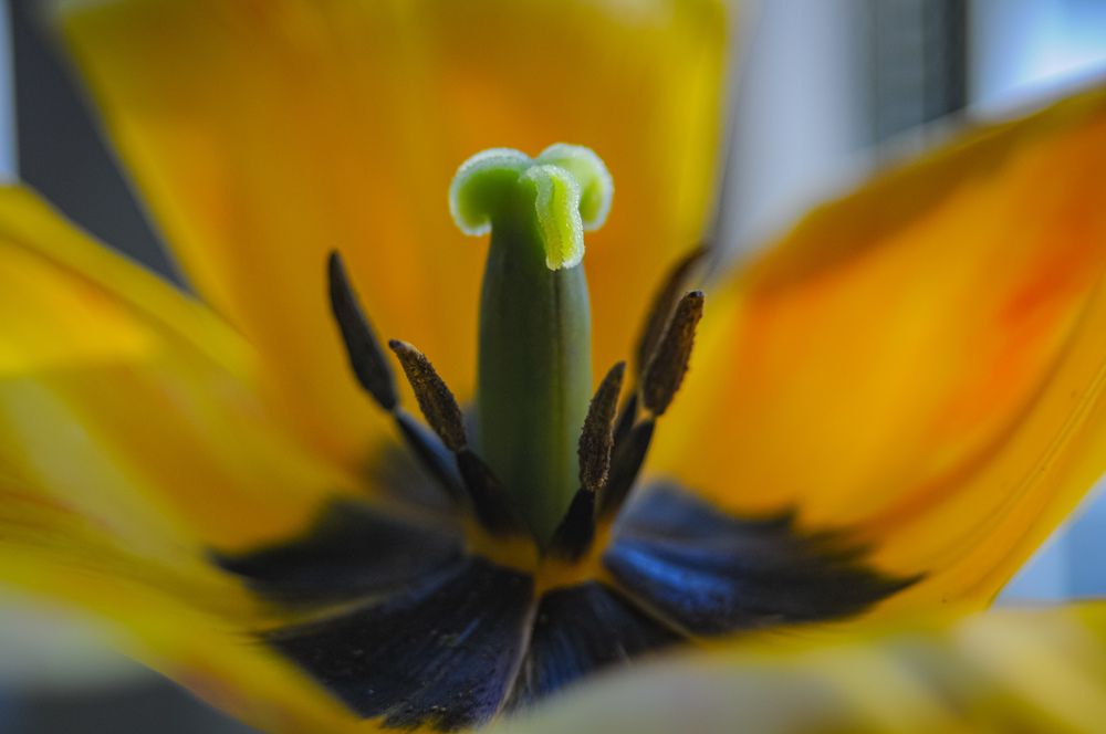 Photograph by Матвей