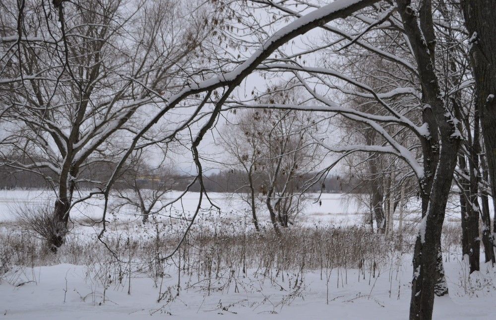 Photograph by Владимир Джерихов