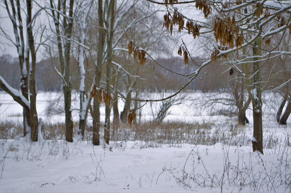 Photograph by Владимир Джерихов