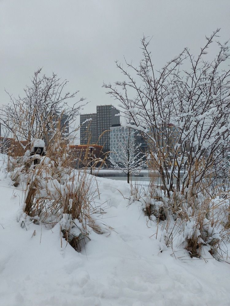 Photograph by Марина Алёшина