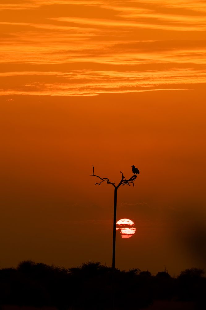 Photograph by Aishik Das