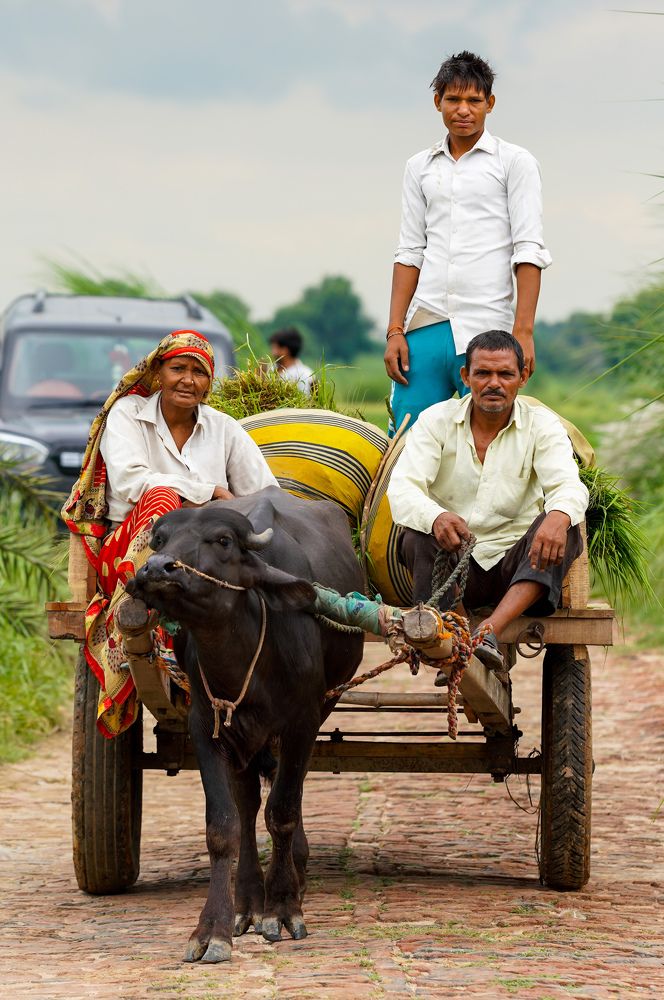 Photograph by HARSHIT MISHRA