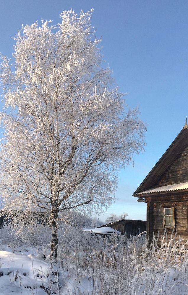 Photograph by T.Ю. Гринько