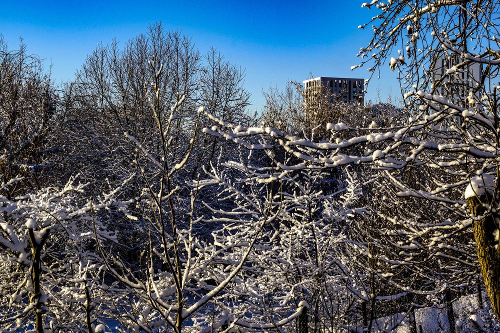 Фотография автора Павлов Дмитрий