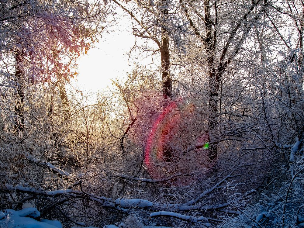 Фотография автора Павлов Дмитрий