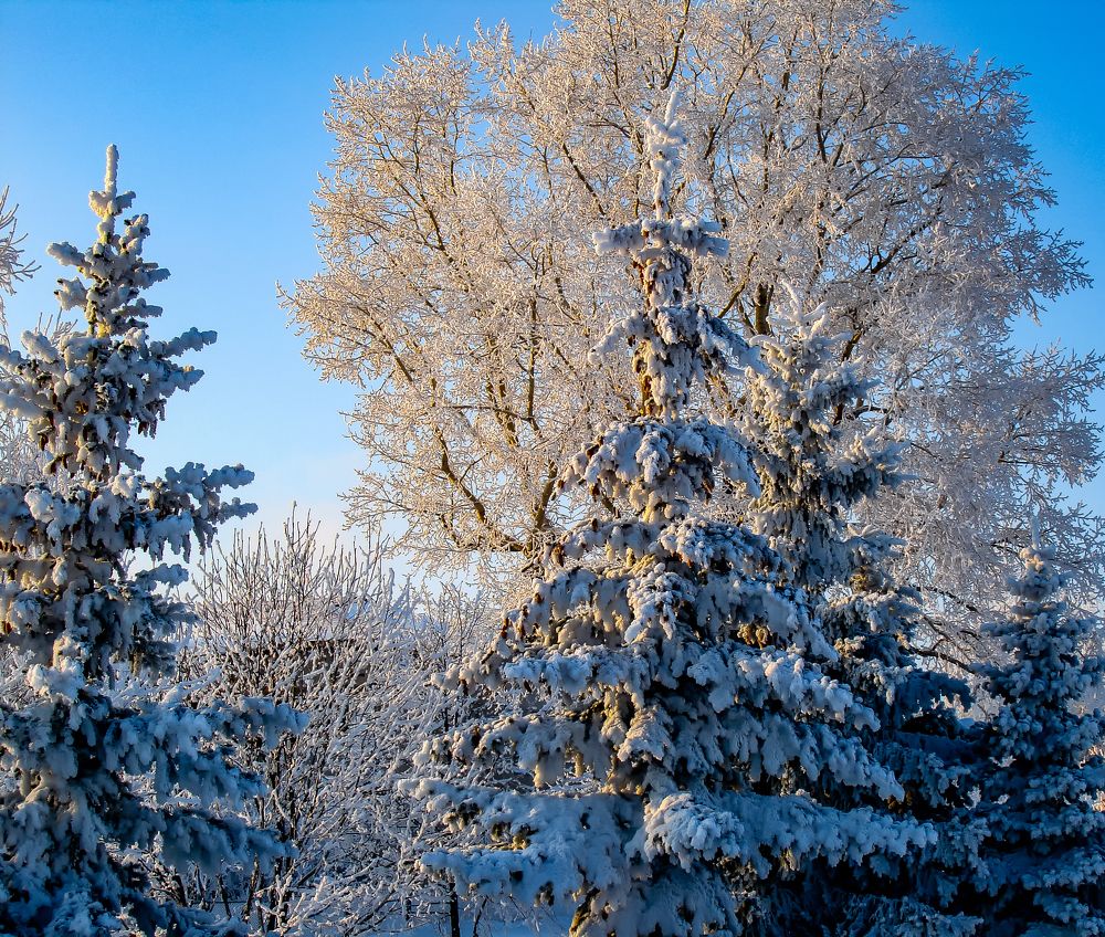 Фотография автора Павлов Дмитрий