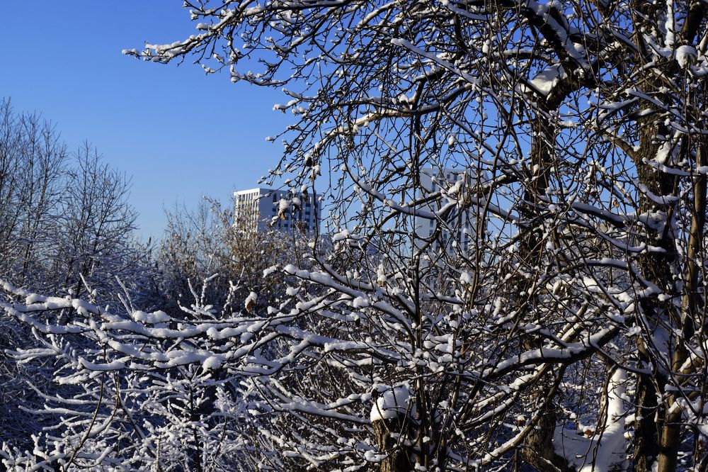 Фотография автора Павлов Дмитрий