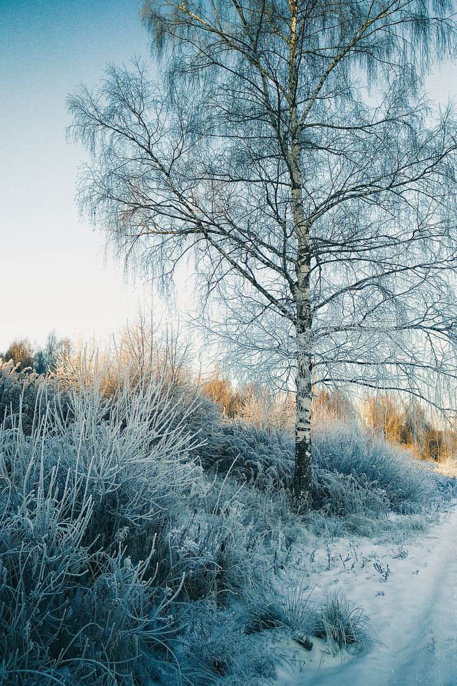 Photograph by Александр Попович