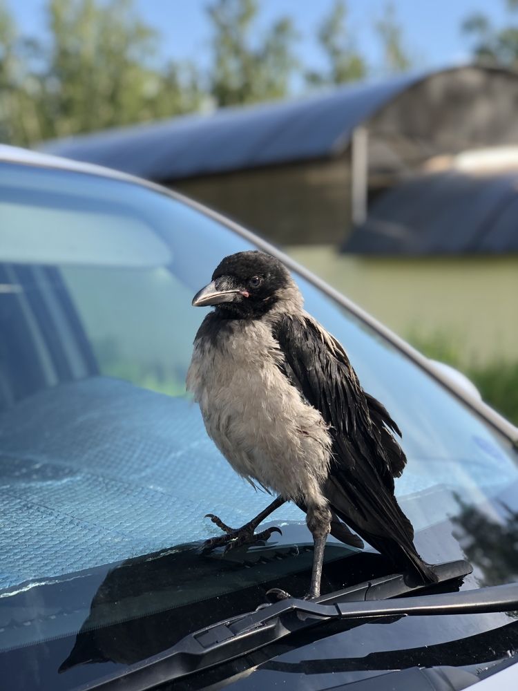 Фотография автора Евгения Елисеева