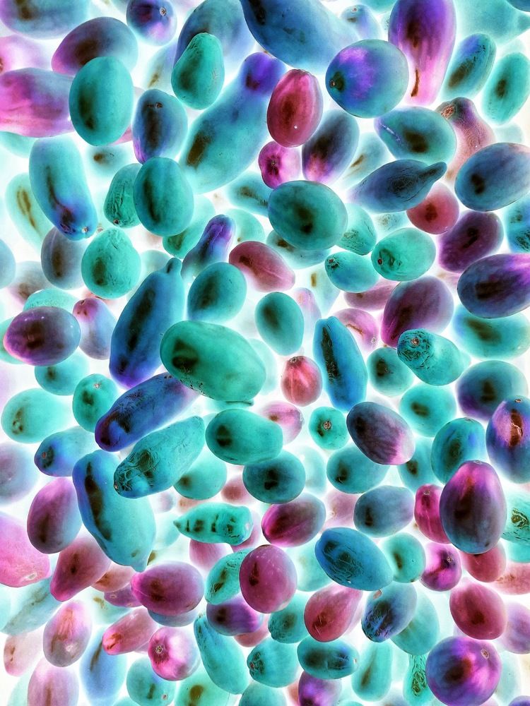 Photograph by Елена Леоненко