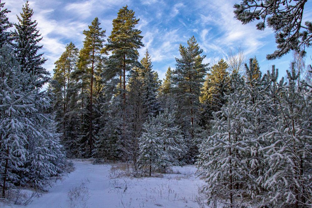 Photograph by Дмитрий Селицкий