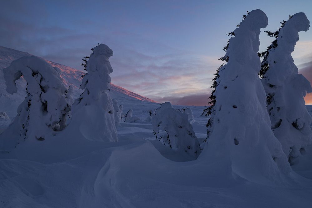 Photograph by Елена Перминова