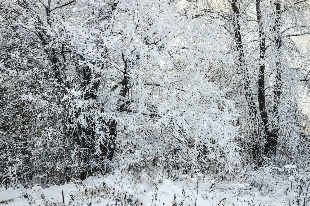 Photograph by миша