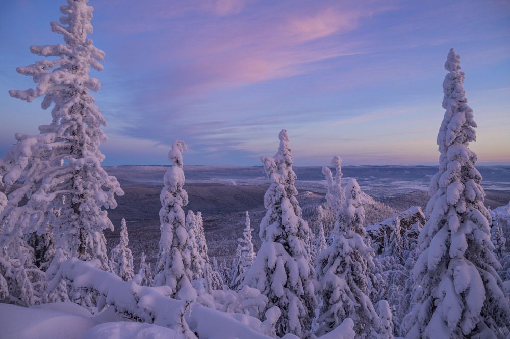 Photograph by Елена Перминова