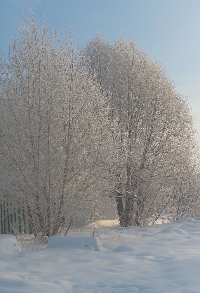 Photograph by Наталия Комаровская