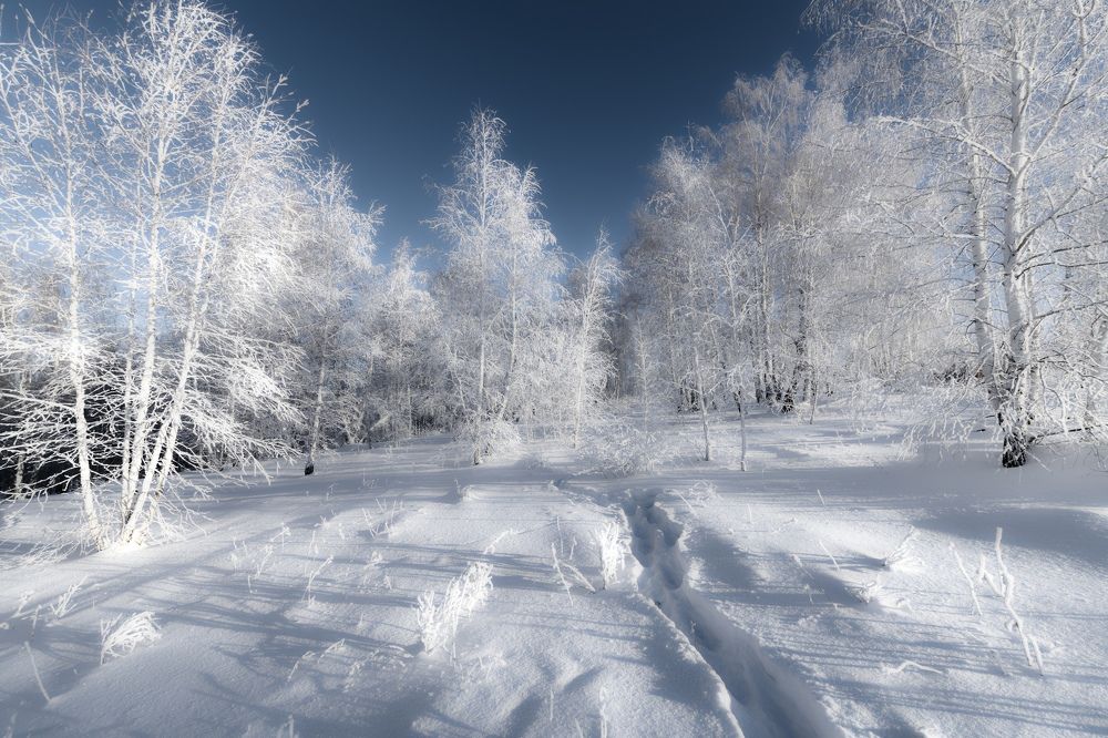 Photograph by Таипов Ильгиз