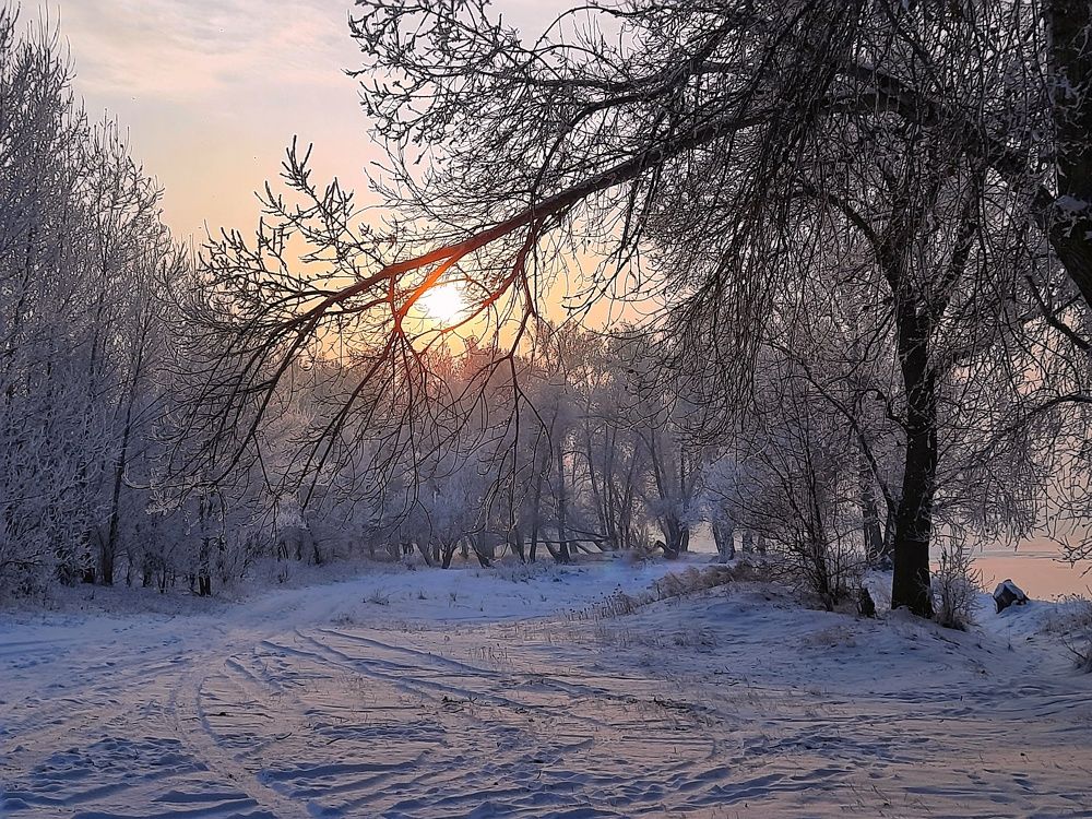 Photograph by Елена Леоненко