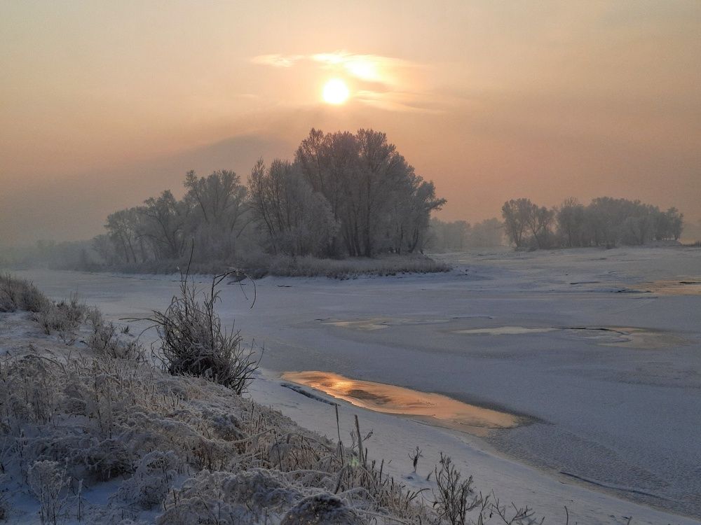 Photograph by Елена Леоненко