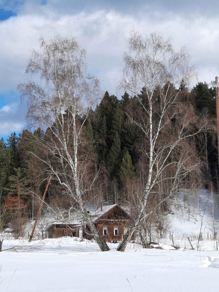 Photograph by Елена Леоненко