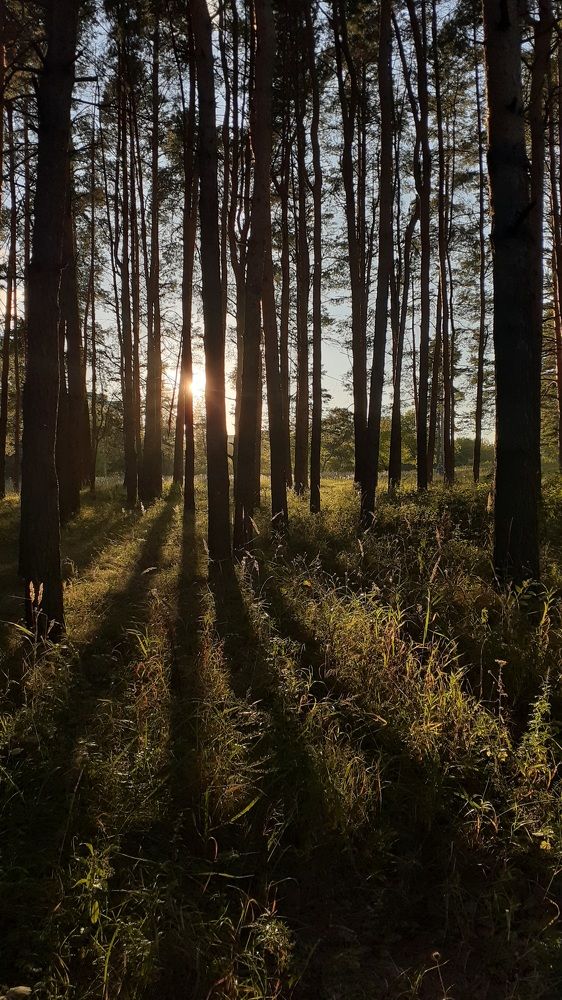 Photograph by Елена Лещева