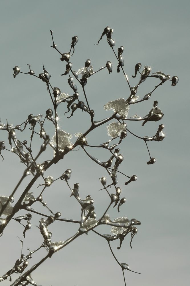 Photograph by Veronika Trubnikova