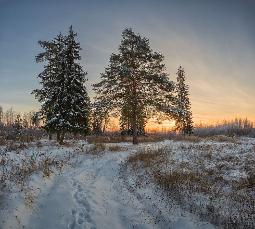 Photograph by Андреев Николай