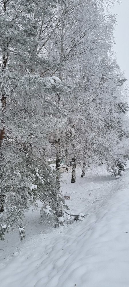 Photograph by Инна Гринцевич