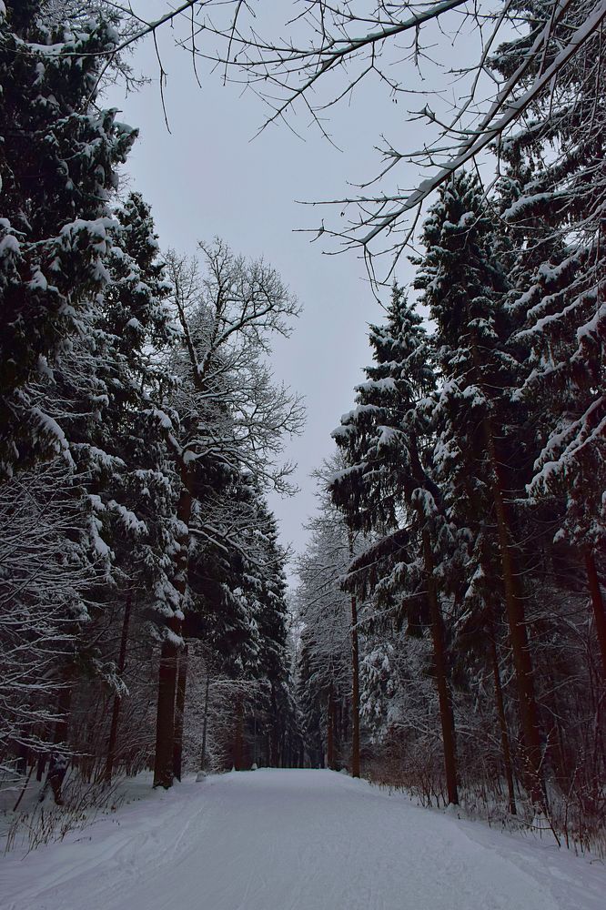 Photograph by Людмила Леонтьева