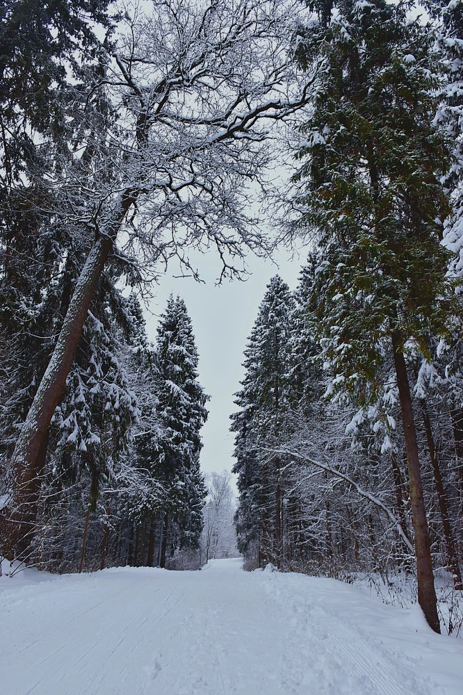 Photograph by Людмила Леонтьева