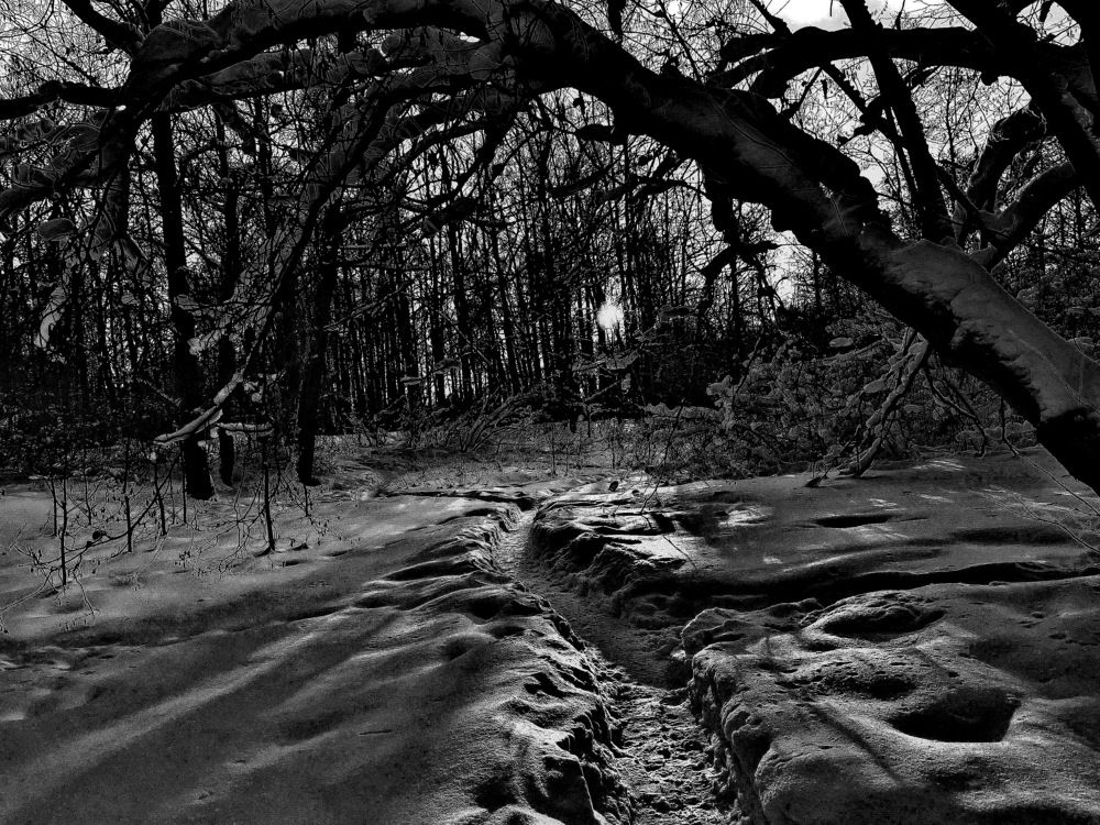 Зимняя сказка...!