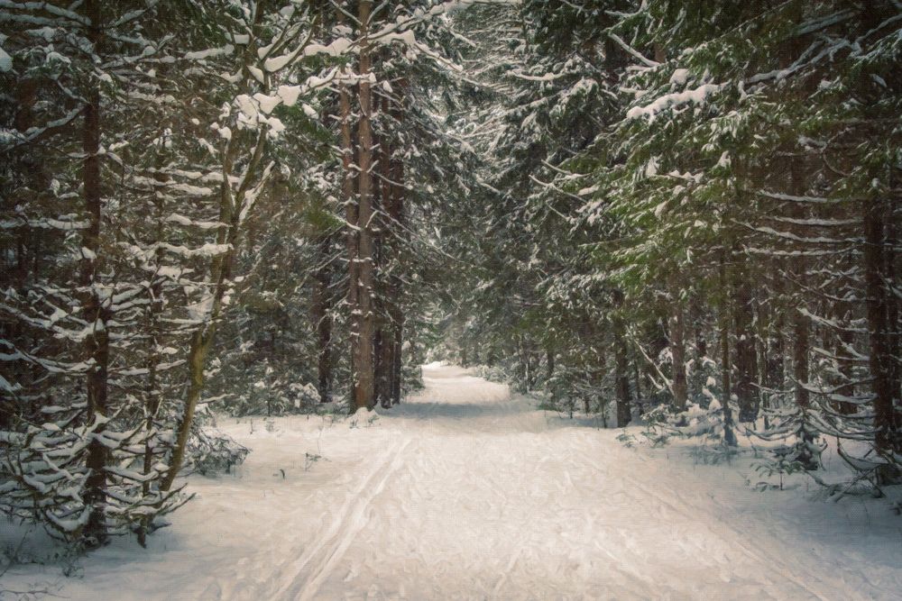 Photograph by Артём Самусенко