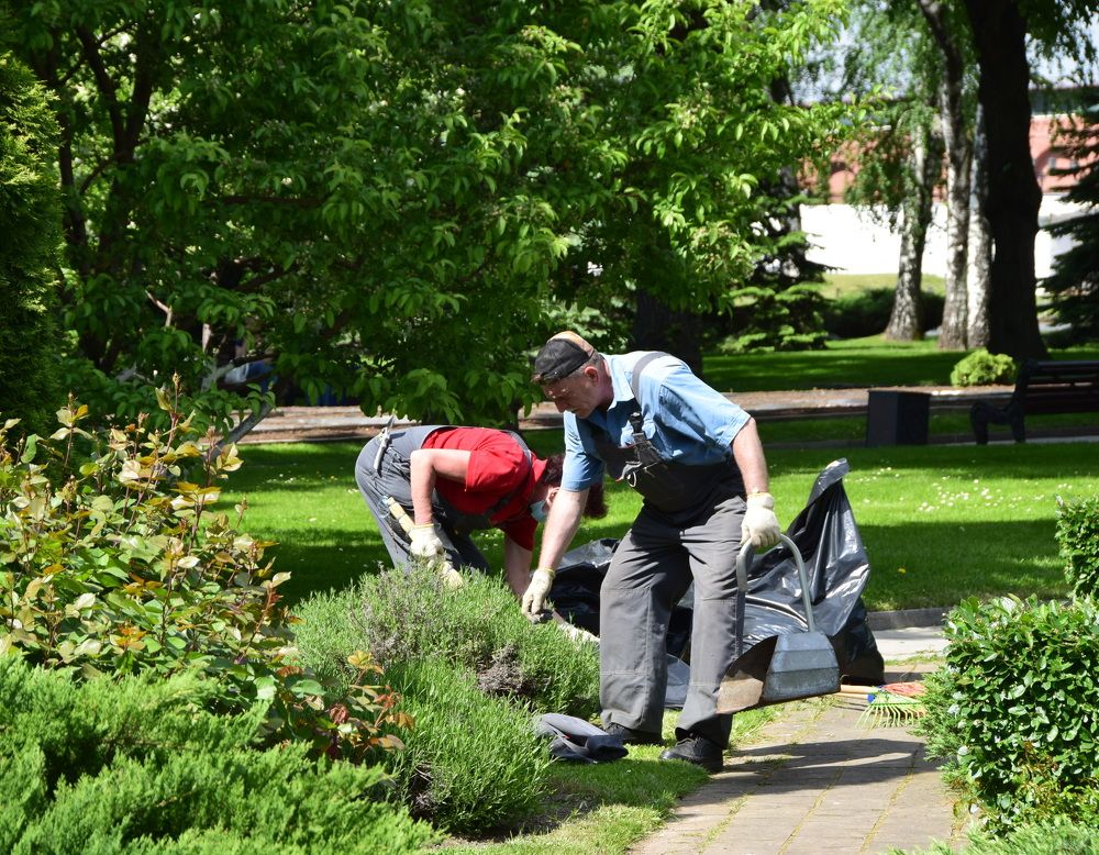 Photograph by Galina Leskova