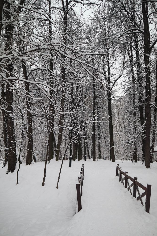 Фотография автора Анастасия Сироткина