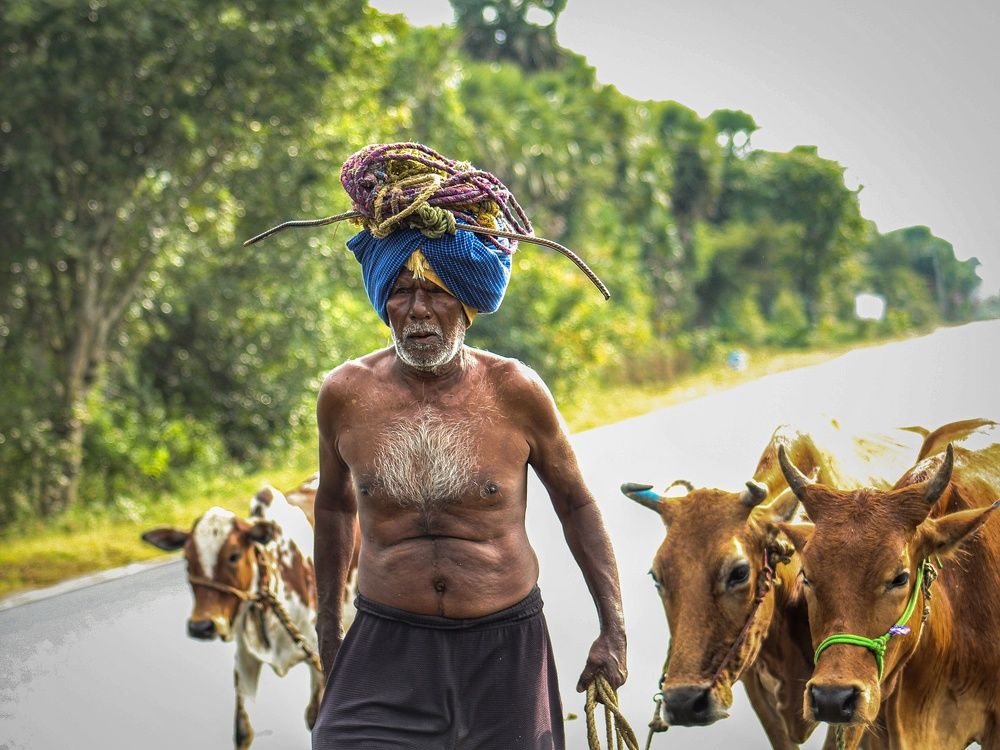 Photograph by RAJAVIGNESH T