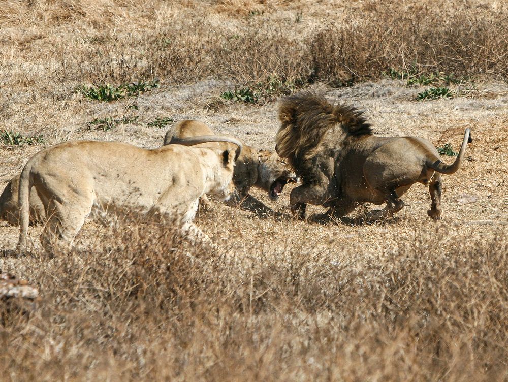 Photograph by Midge Engelbrecht