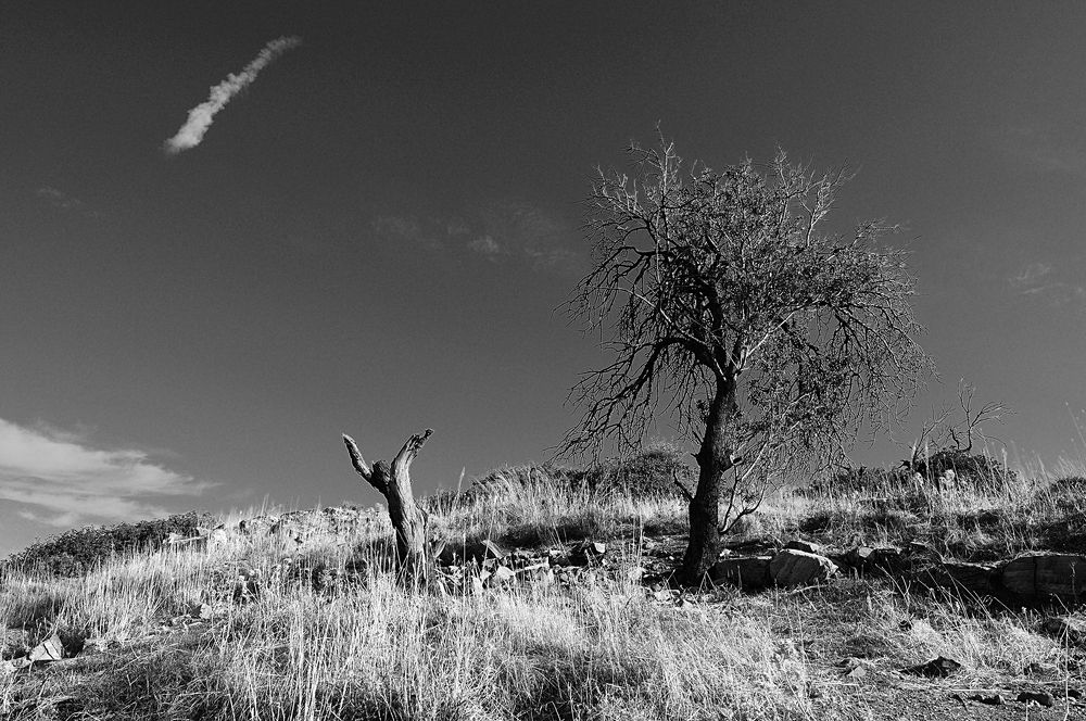 Photograph by Сергей Сережников