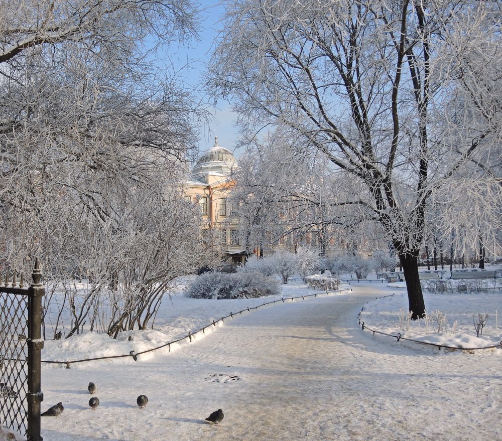 В зимнем городе