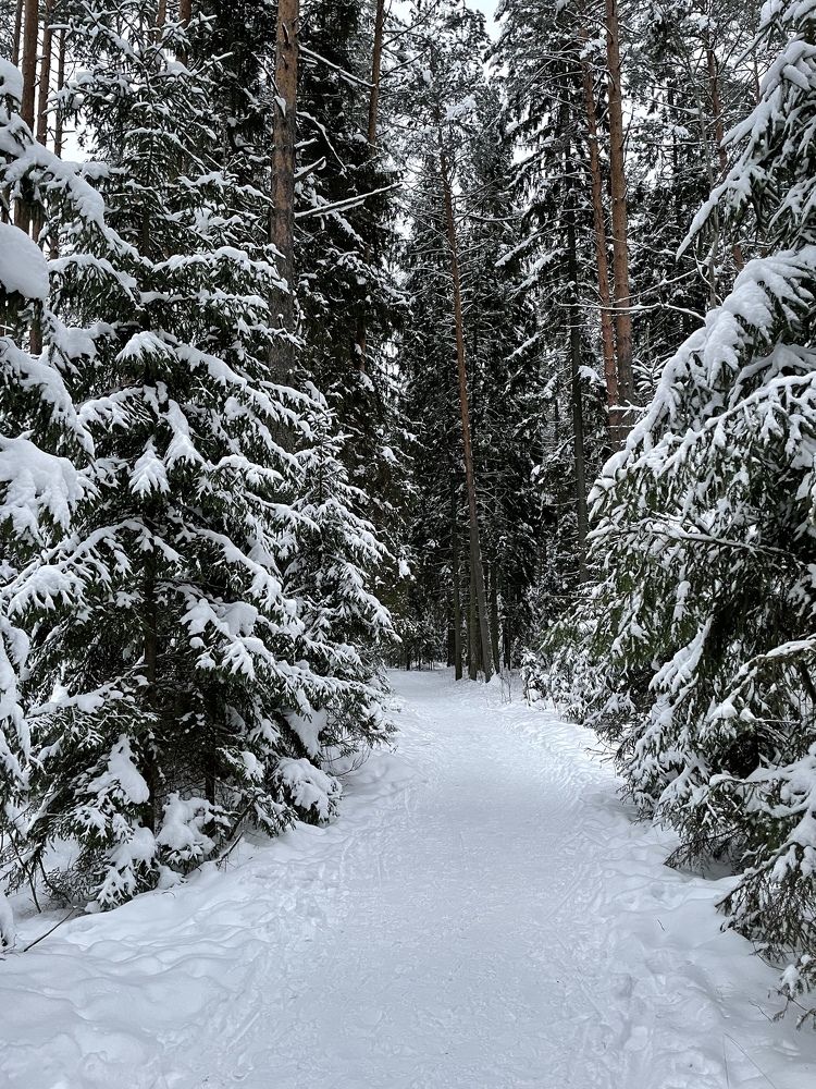 Photograph by Анастасия Родионова
