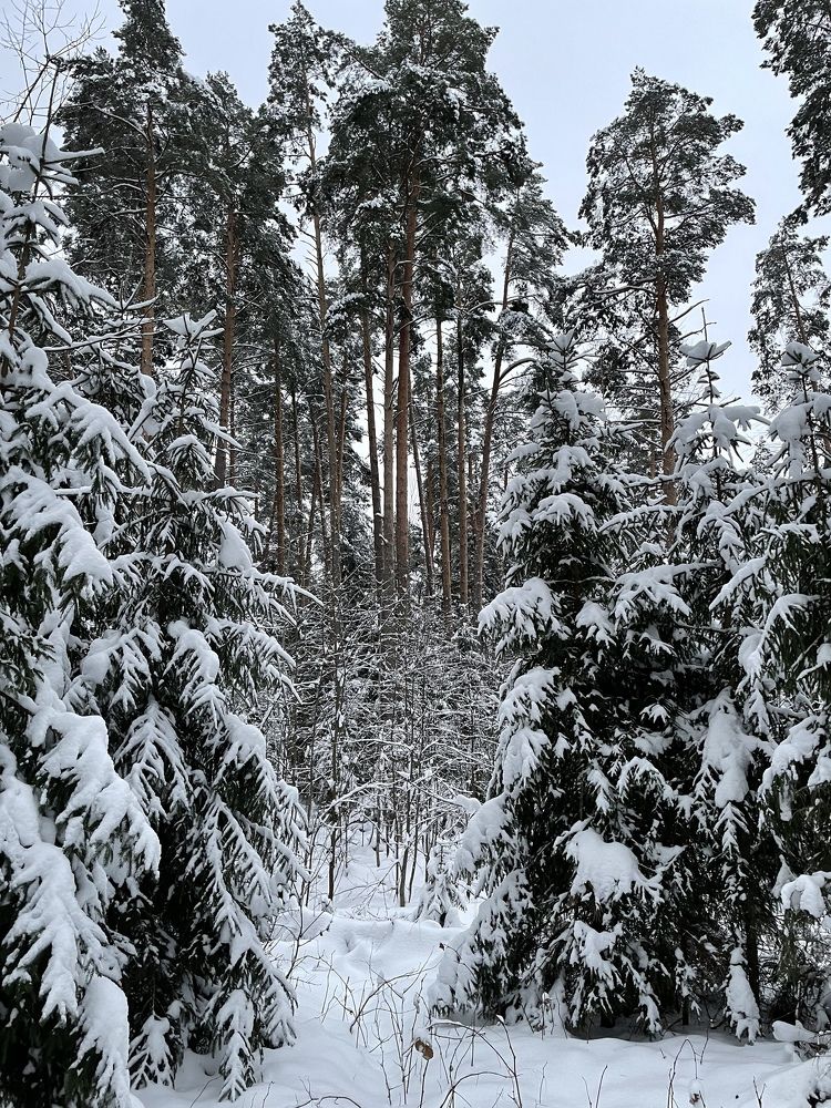 Photograph by Анастасия Родионова