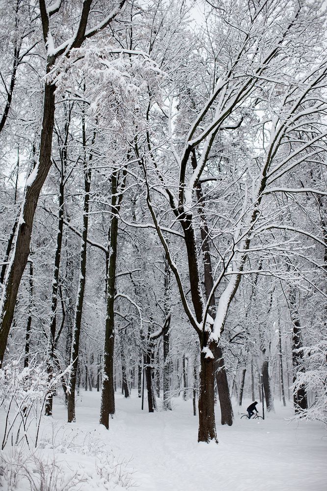 Photograph by Михаил Копанс