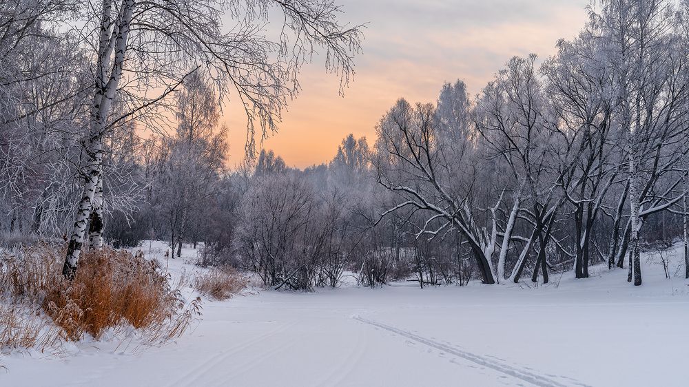 Фотография автора Добрыднев Сергей