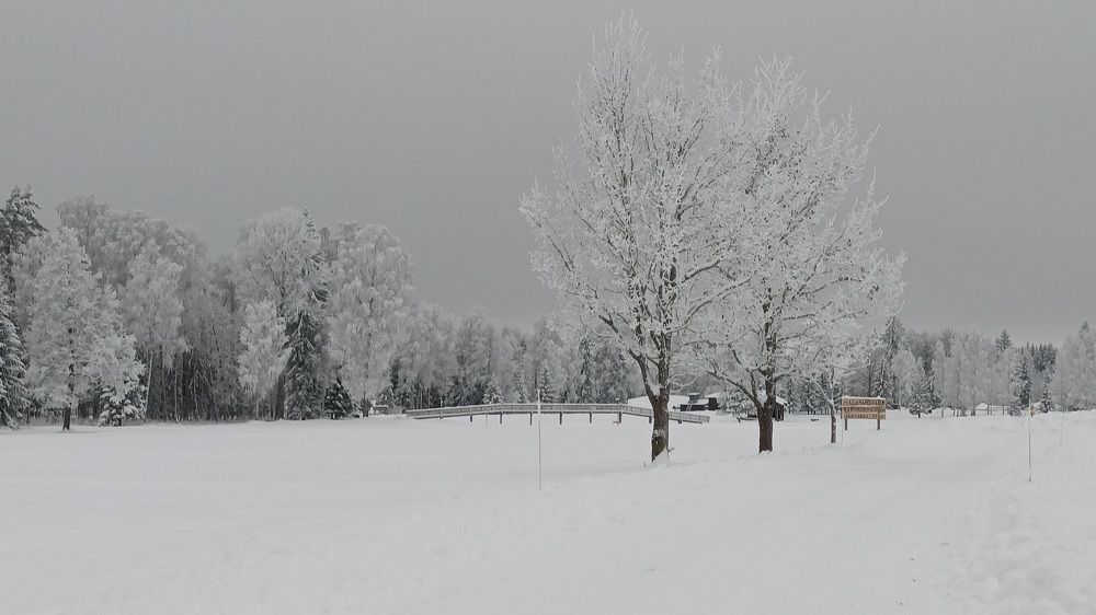 Зимняя сказка.