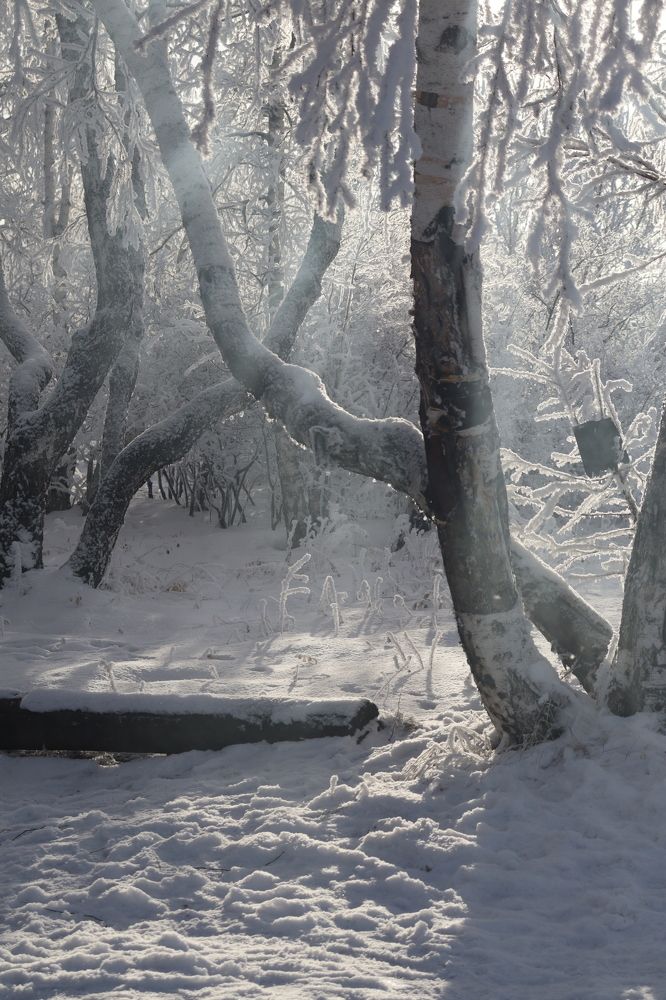 Photograph by Марина Тимонова