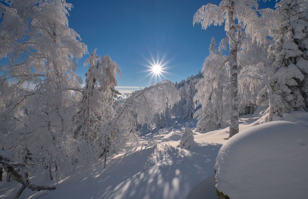 Photograph by Игорь Тымчук