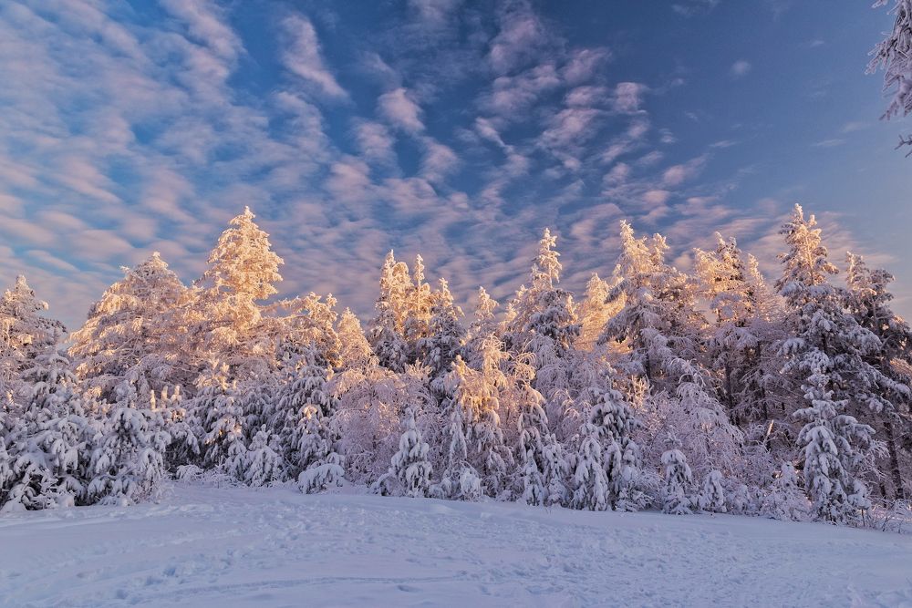 Photograph by Вячеслав