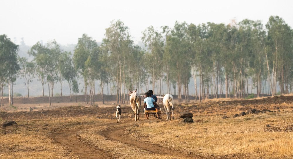 Photograph by Satish Nerlekar